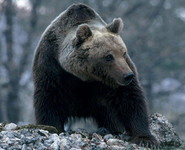 Готель Il Pentagono Термолі Екстер'єр фото